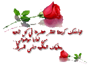 سيدي عبد القادر - مصطفى و عبد الله العزاوي 3495850120